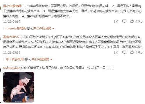 群演爆料大全视频下载,揭秘影视幕后那些事儿